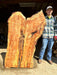 Double Diamond | LiveEdge Norway Maple | Norway Maple | Hamilton Lee Supply