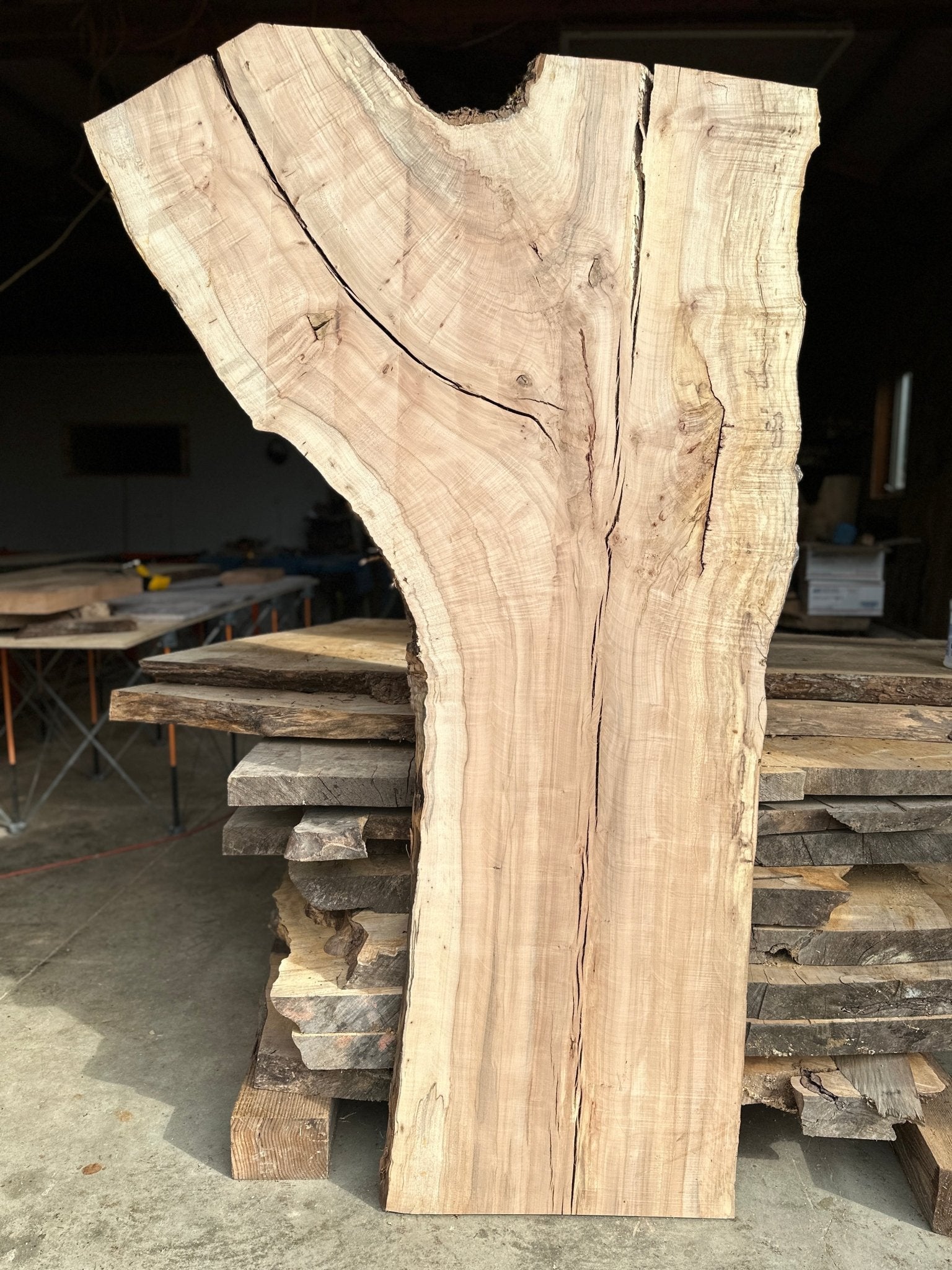 LiveEdge Norway Maple | Norway Maple | Hamilton Lee Supply