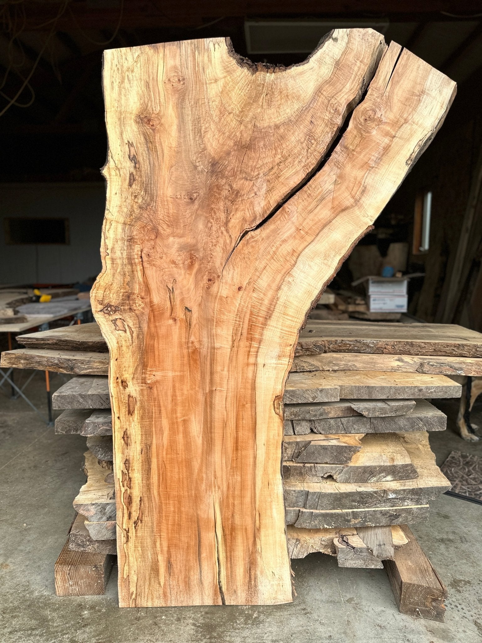 LiveEdge Norway Maple | Norway Maple | Hamilton Lee Supply