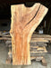 Double Diamond - LiveEdge Norway Maple - Hamilton Lee Supply