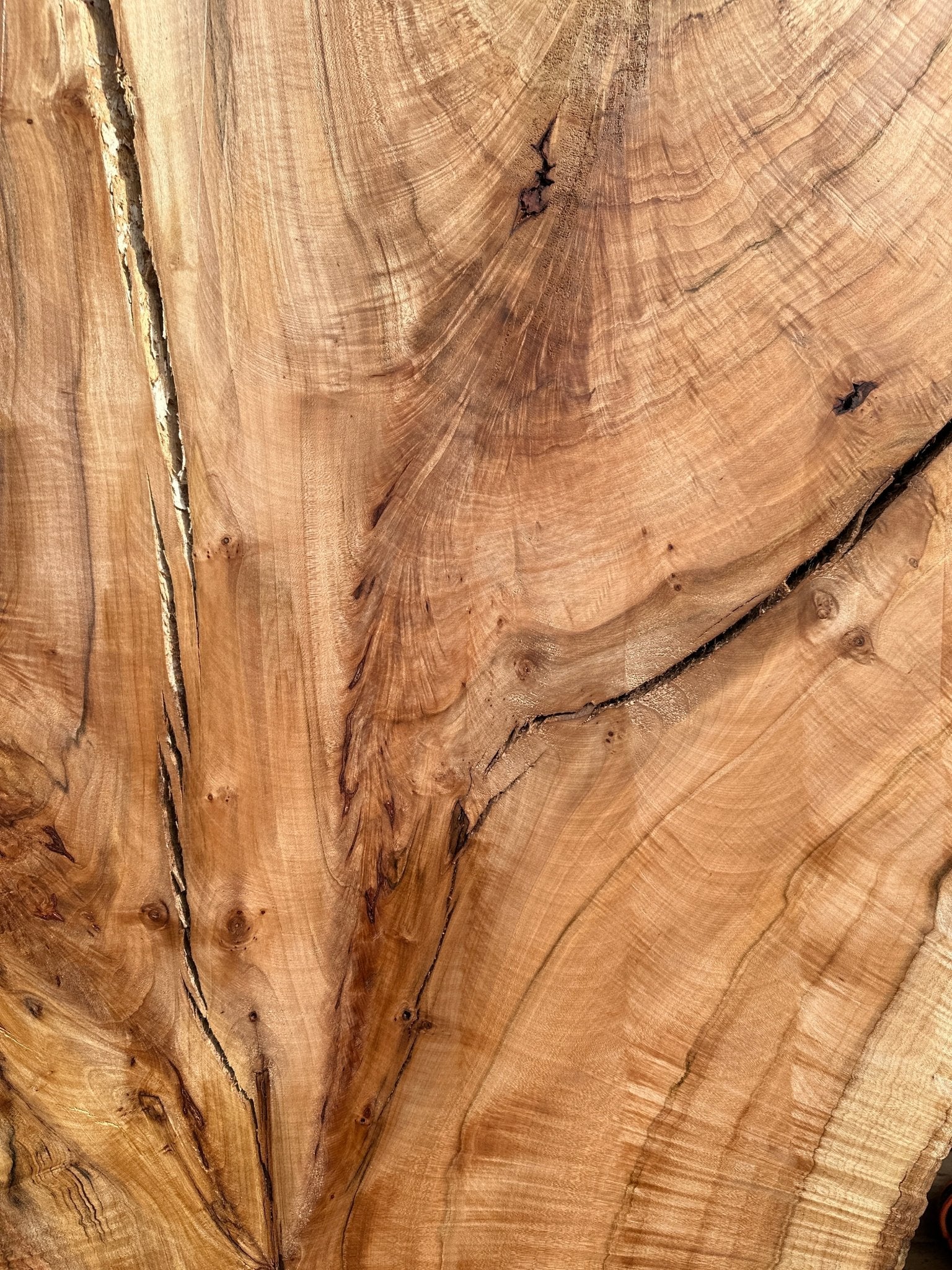 LiveEdge Norway Maple | Norway Maple | Hamilton Lee Supply