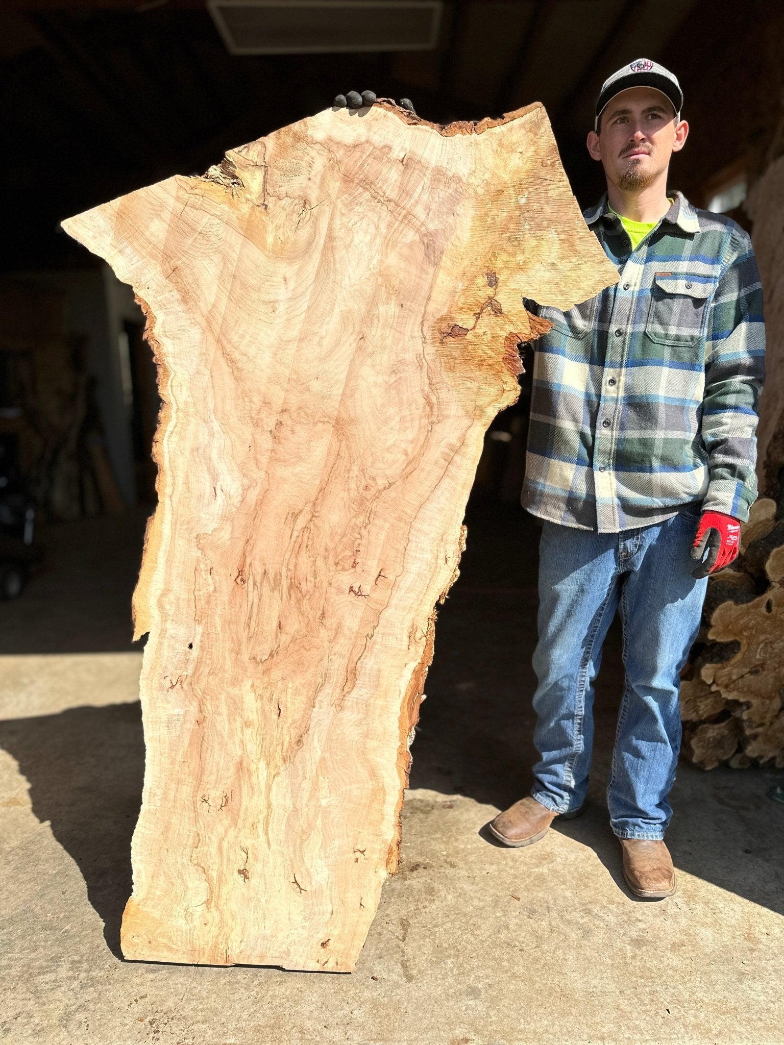 LiveEdge Norway Maple | Norway Maple | Hamilton Lee Supply