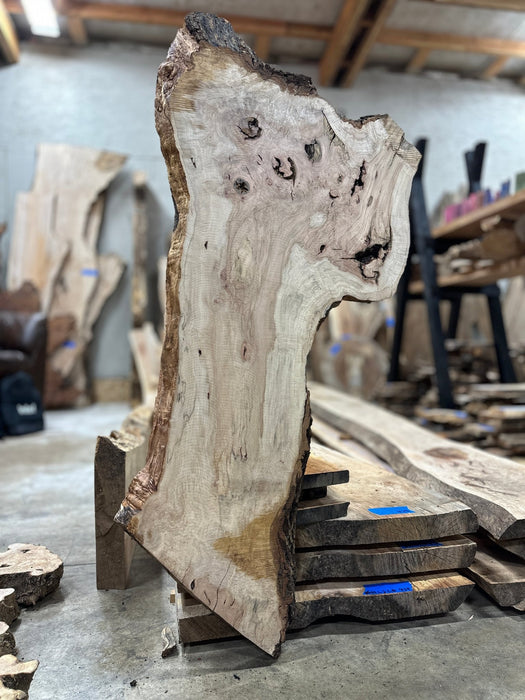 Double Diamond | LiveEdge Norway Maple | Norway Maple | Hamilton Lee Supply