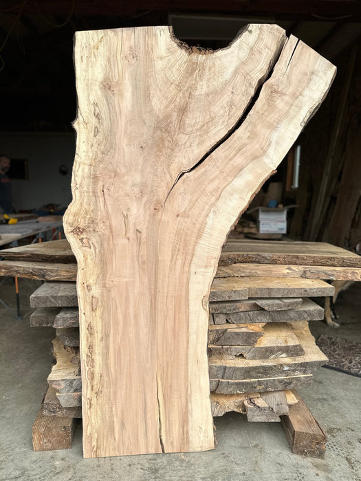 Double Diamond - LiveEdge Norway Maple - Hamilton Lee Supply