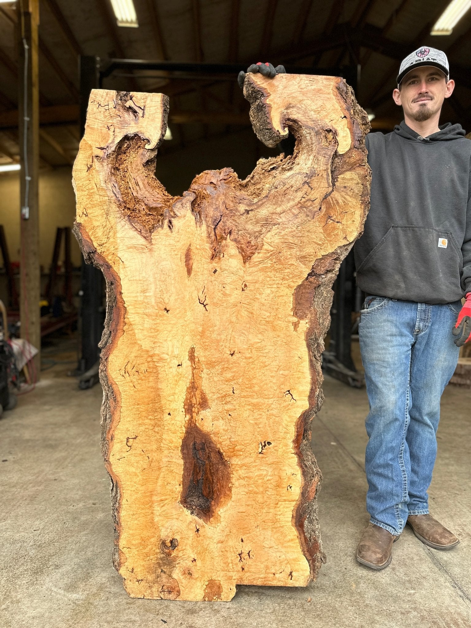 LiveEdge Norway Maple | Norway Maple | Hamilton Lee Supply