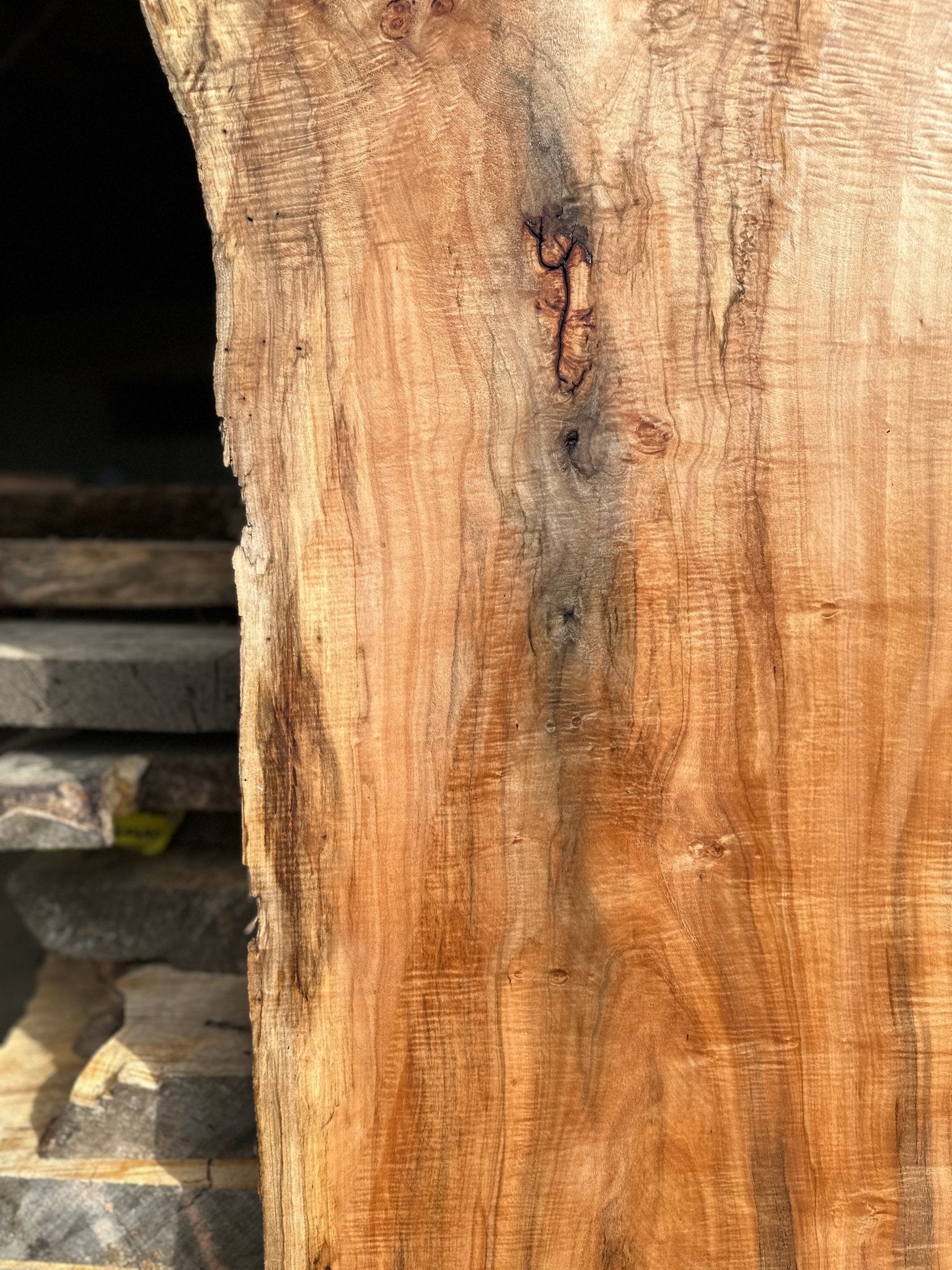 LiveEdge Norway Maple | Norway Maple | Hamilton Lee Supply