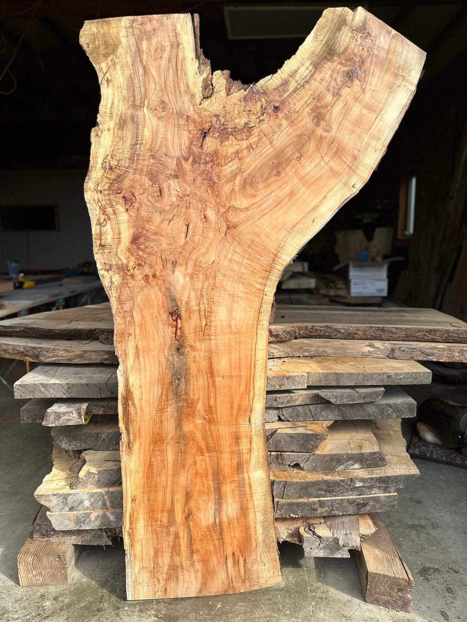 LiveEdge Norway Maple | Norway Maple | Hamilton Lee Supply