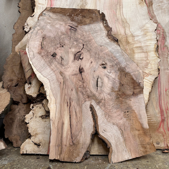 Double Diamond | LiveEdge Norway Maple | Norway Maple | Hamilton Lee Supply