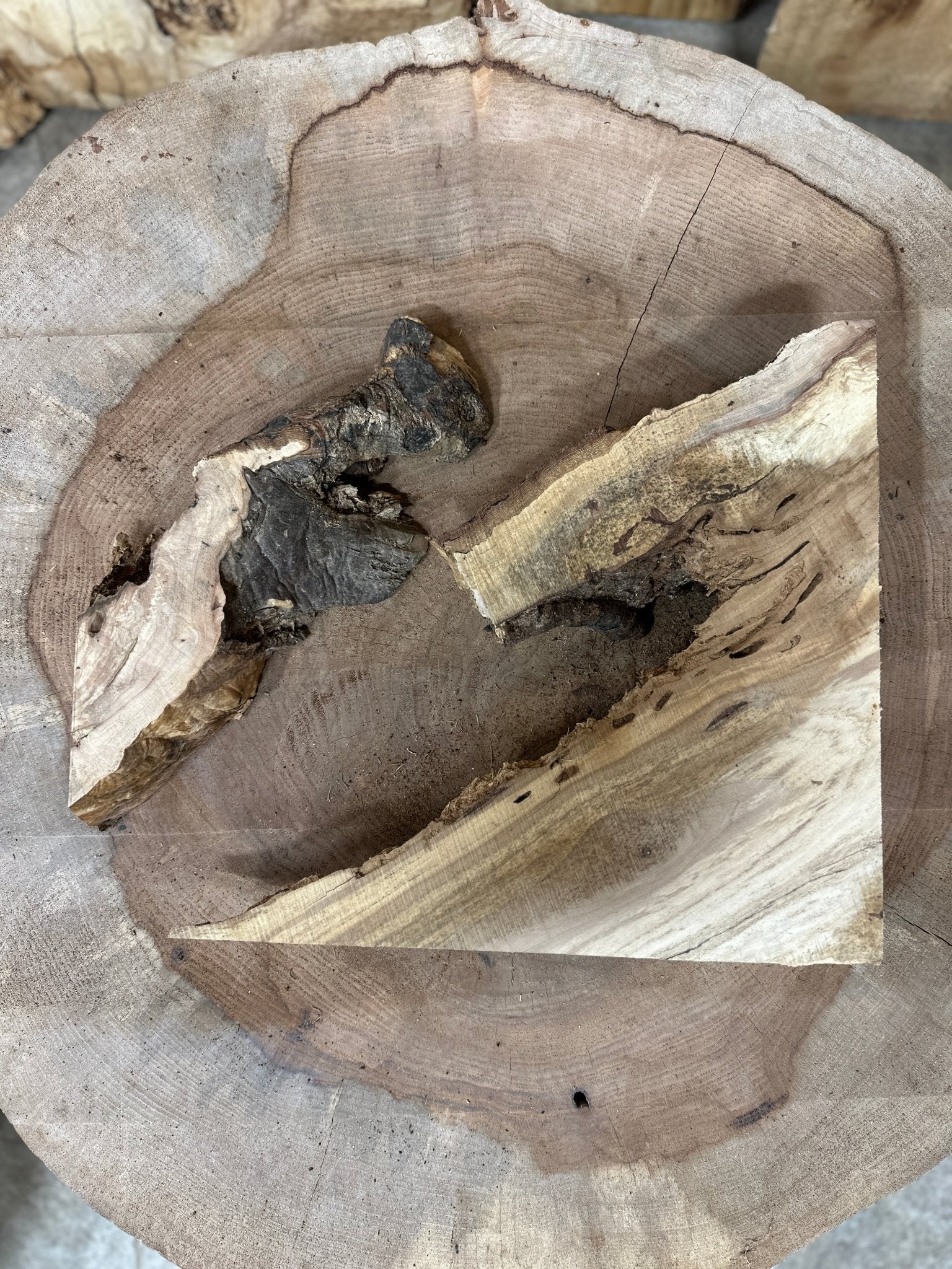 LiveEdge Norway Maple | Norway Maple | Hamilton Lee Supply