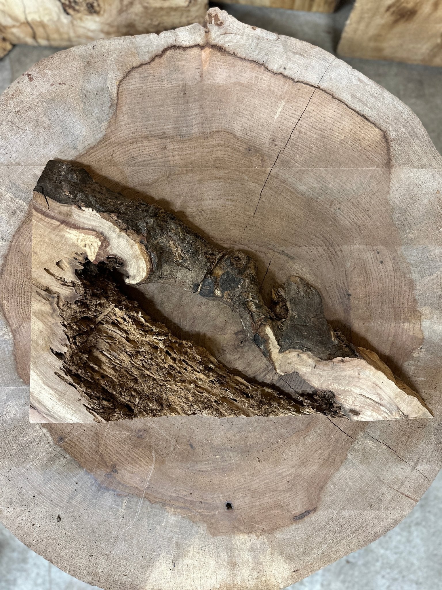 LiveEdge Norway Maple | Norway Maple | Hamilton Lee Supply
