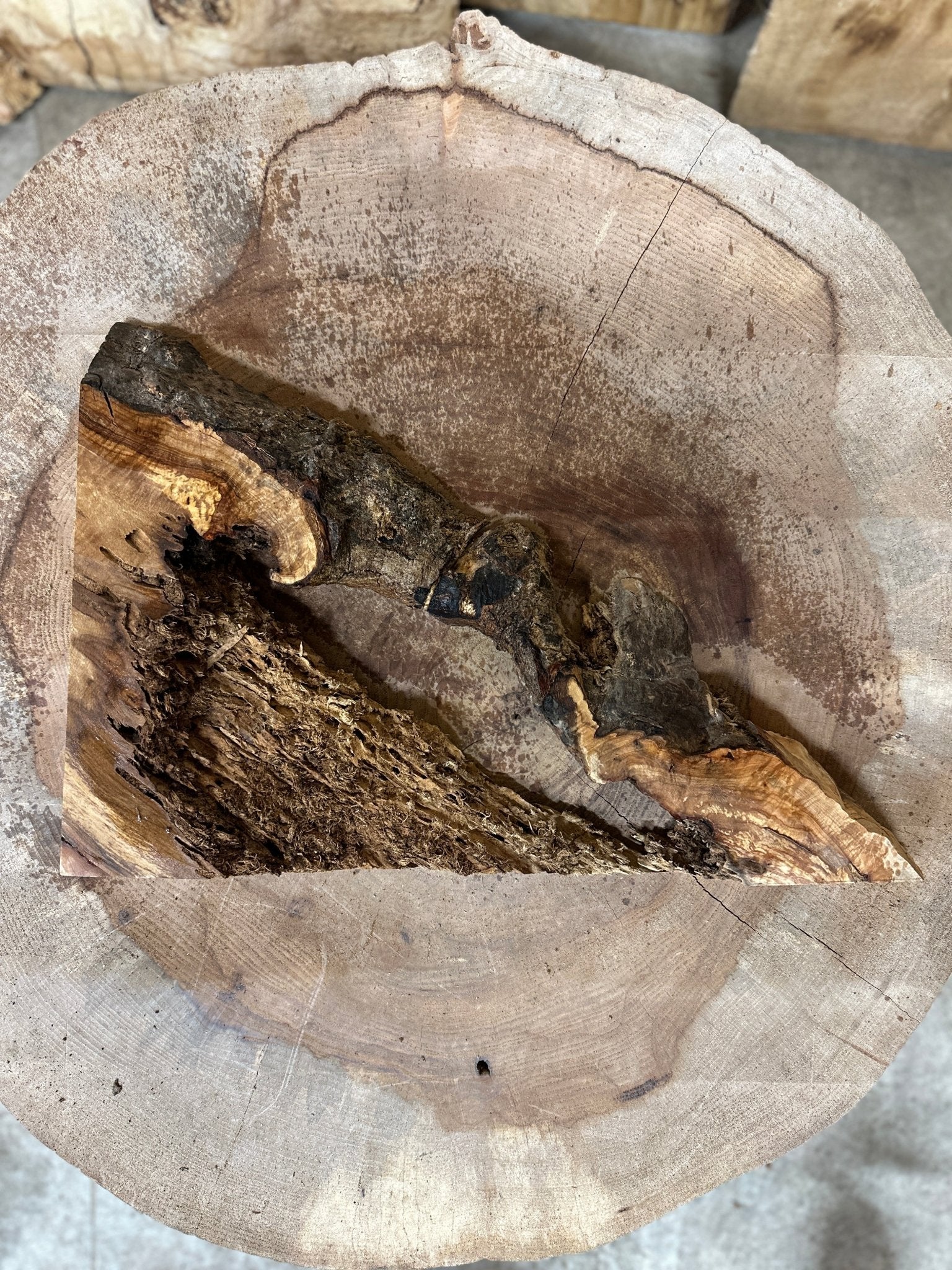 LiveEdge Norway Maple | Norway Maple | Hamilton Lee Supply