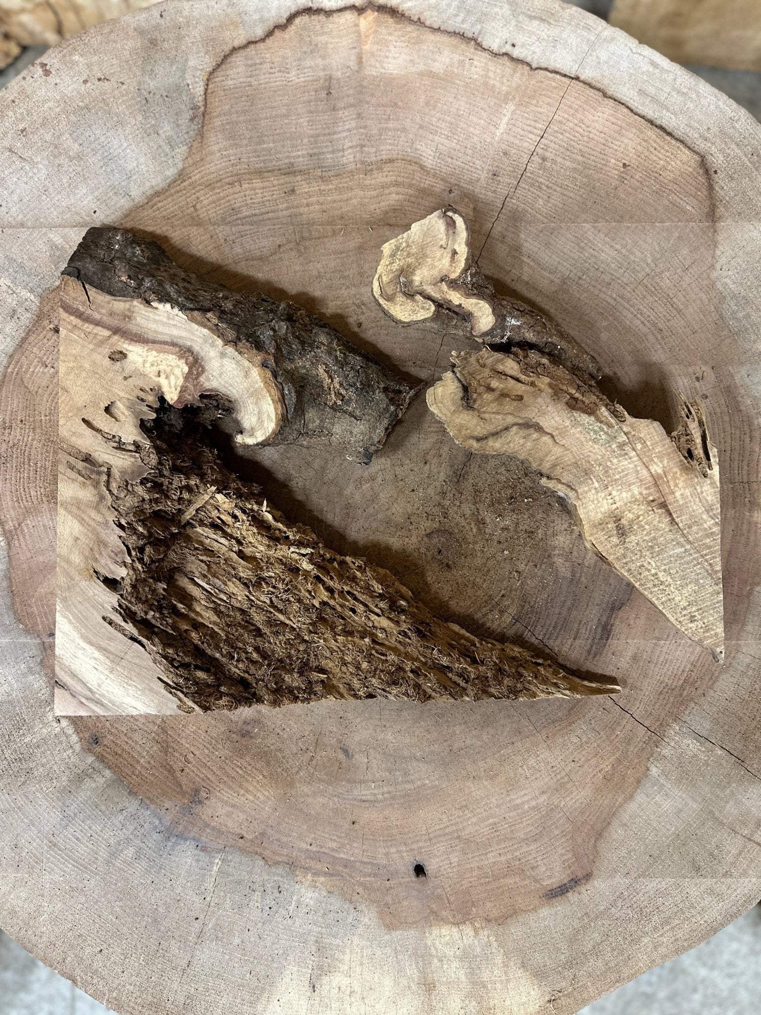 LiveEdge Norway Maple | Norway Maple | Hamilton Lee Supply