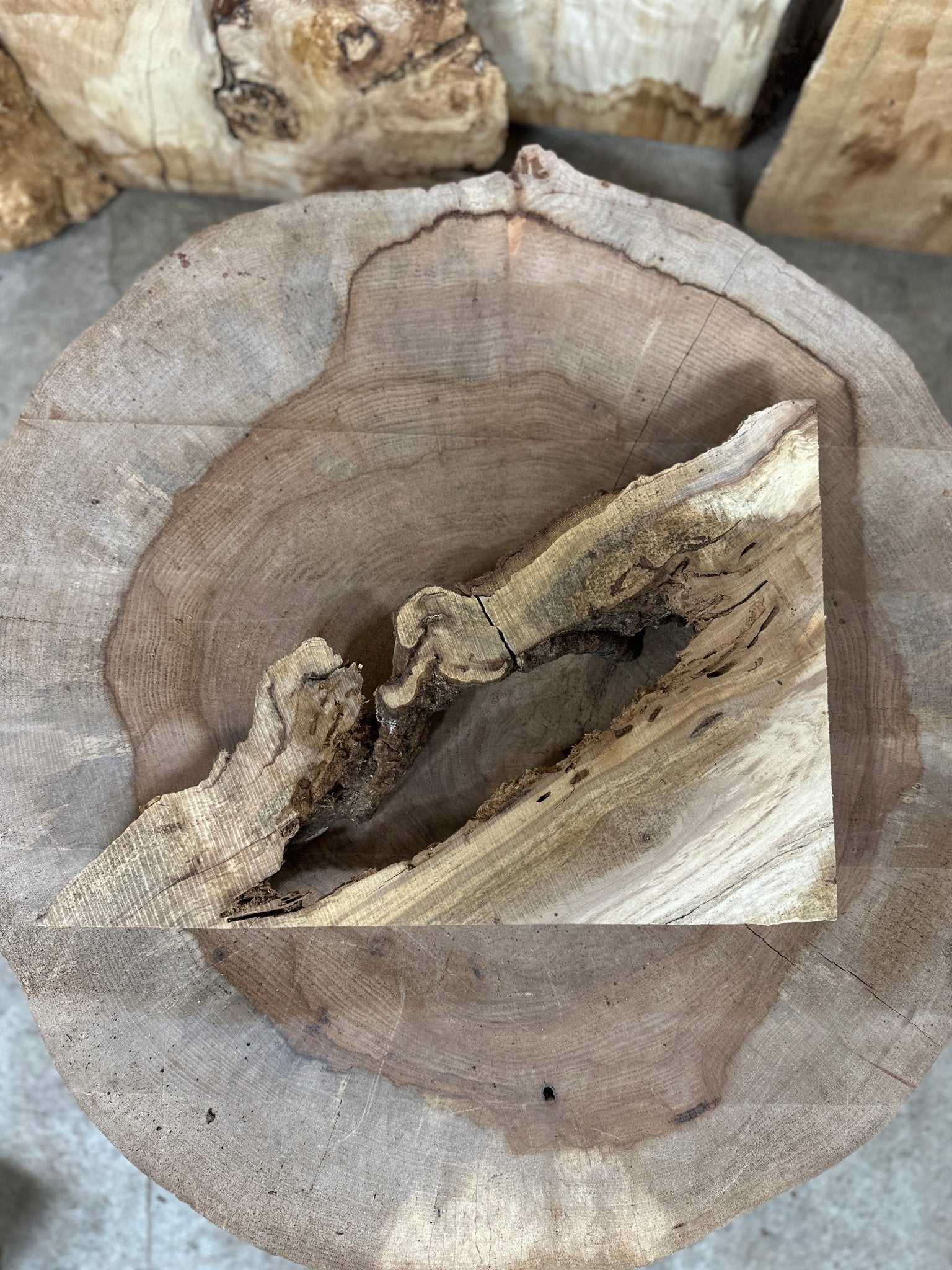 LiveEdge Norway Maple | Norway Maple | Hamilton Lee Supply