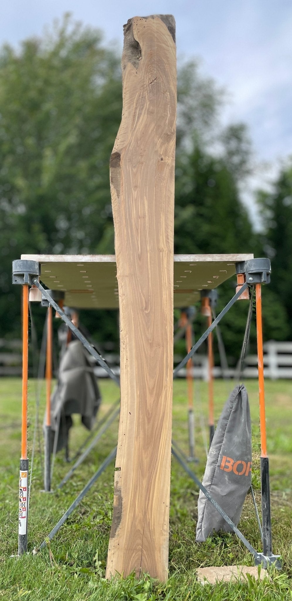 LiveEdge Olive | Olive | Hamilton Lee Supply