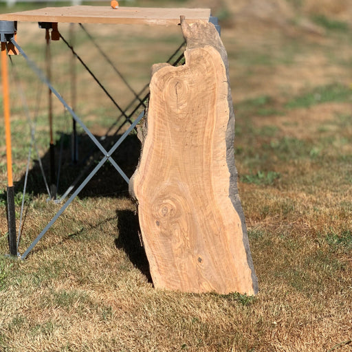 Hamilton Lee Supply - LiveEdge Olive - Hamilton Lee Supply