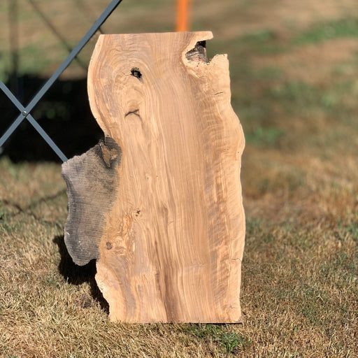 Hamilton Lee Supply - LiveEdge Olive - Hamilton Lee Supply
