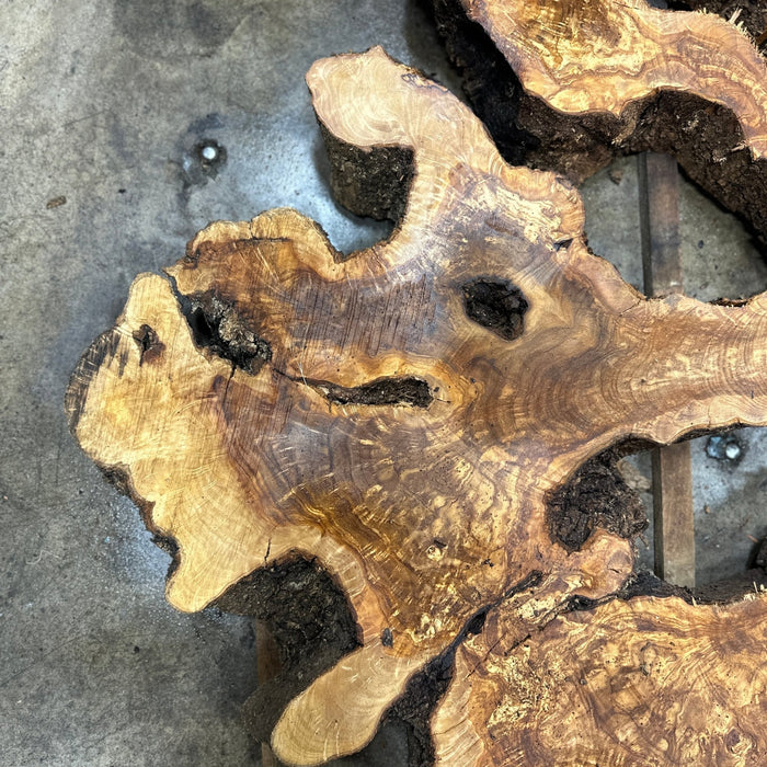 Hamilton Lee Supply | LiveEdge Olive Cookie | Olive | Hamilton Lee Supply
