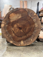 LiveEdge Pecan Cookie | Craft Wood & Shapes | Hamilton Lee Supply