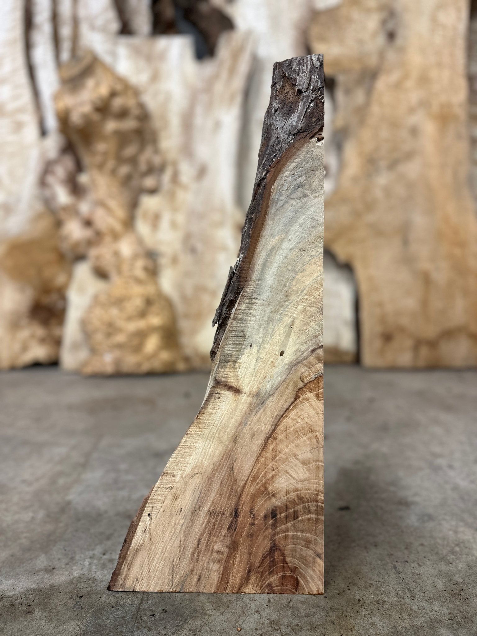 LiveEdge Pecan | Pecan | Hamilton Lee Supply