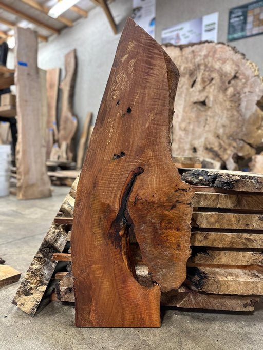 Coastal Woodworks - LiveEdge Red Alder - Hamilton Lee Supply