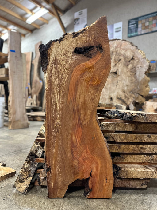 Coastal Woodworks - LiveEdge Red Alder - Hamilton Lee Supply
