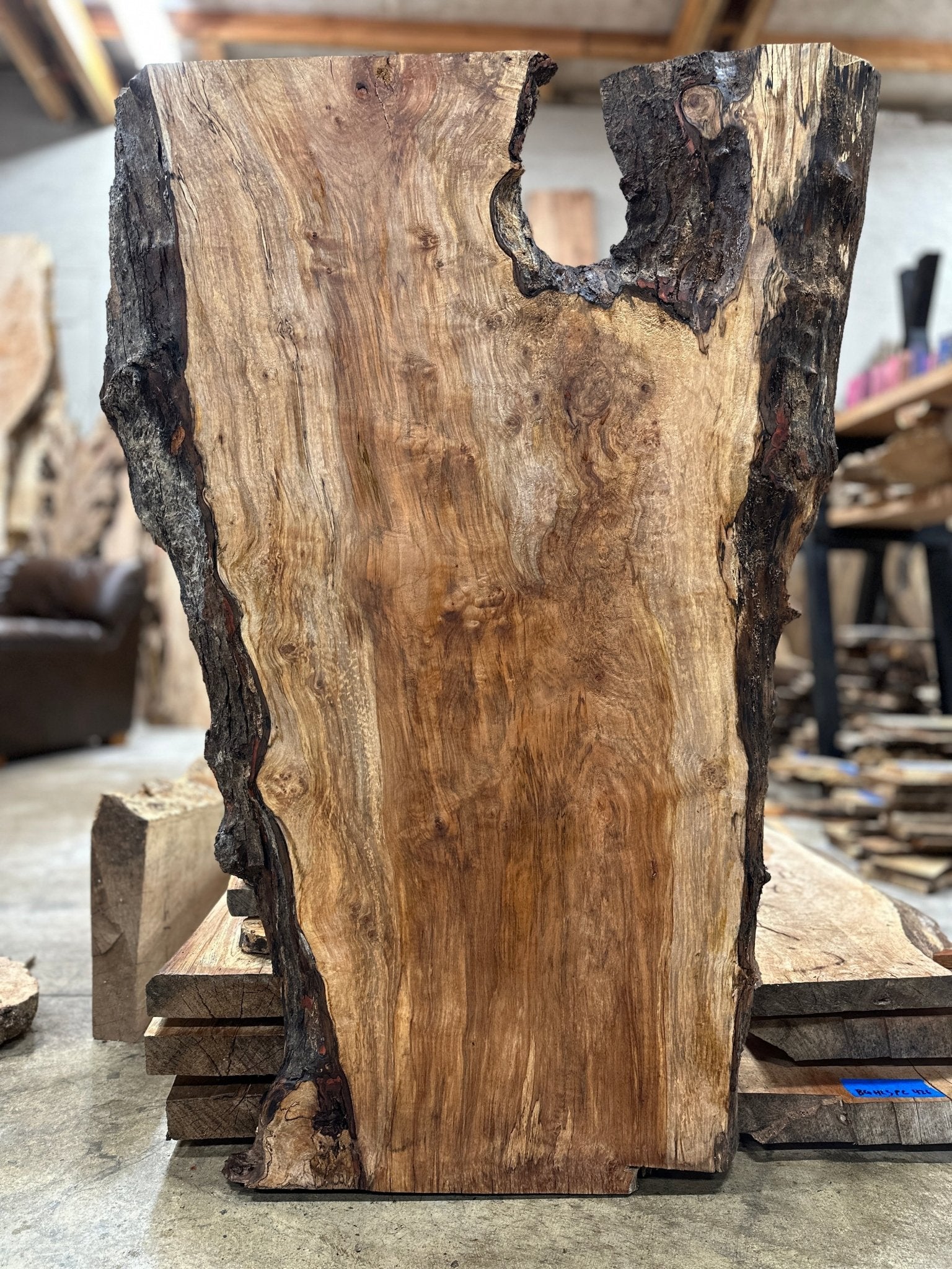 LiveEdge Silver Maple | Silver Maple | Hamilton Lee Supply