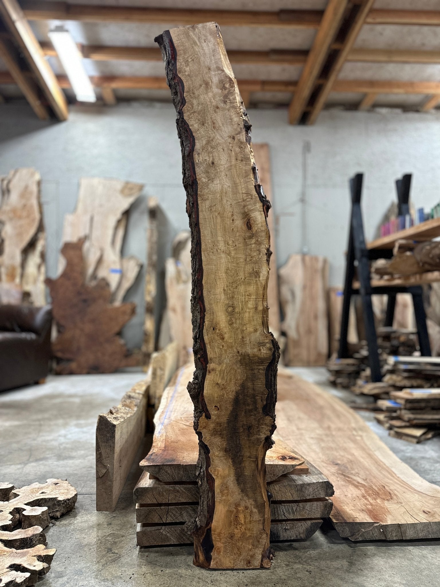 LiveEdge Silver Maple | Silver Maple | Hamilton Lee Supply