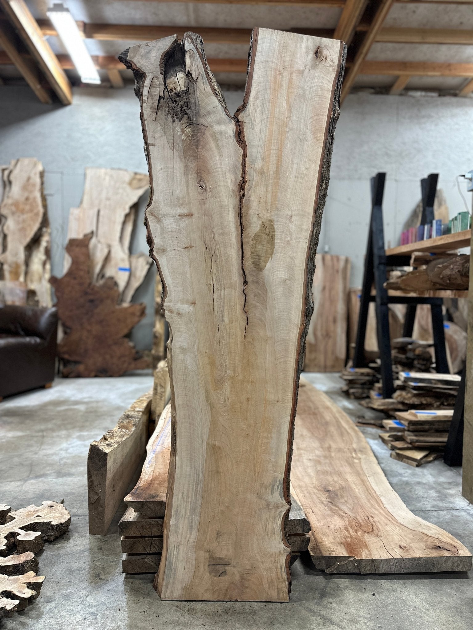 LiveEdge Silver Maple | Silver Maple | Hamilton Lee Supply