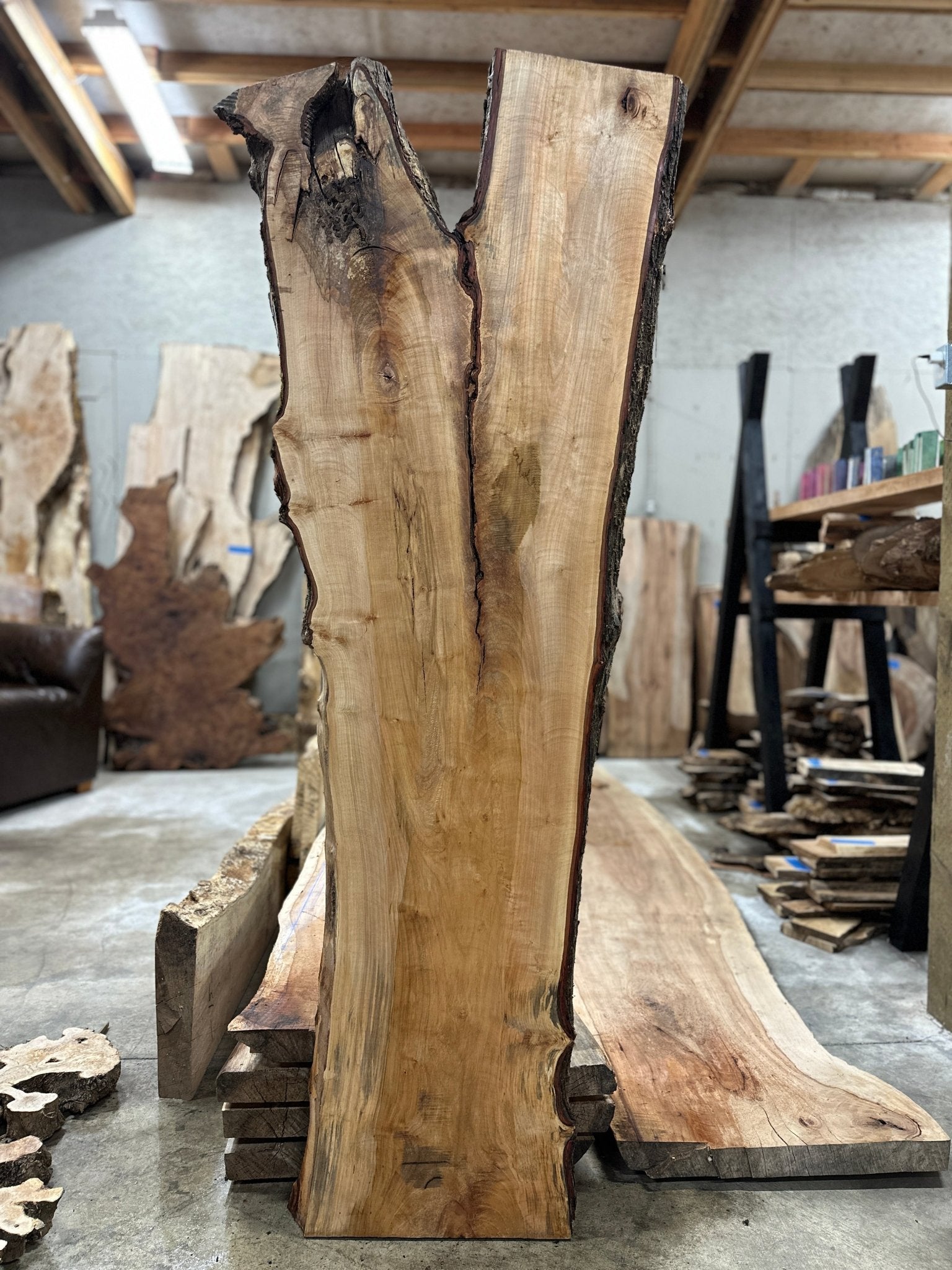 LiveEdge Silver Maple | Silver Maple | Hamilton Lee Supply