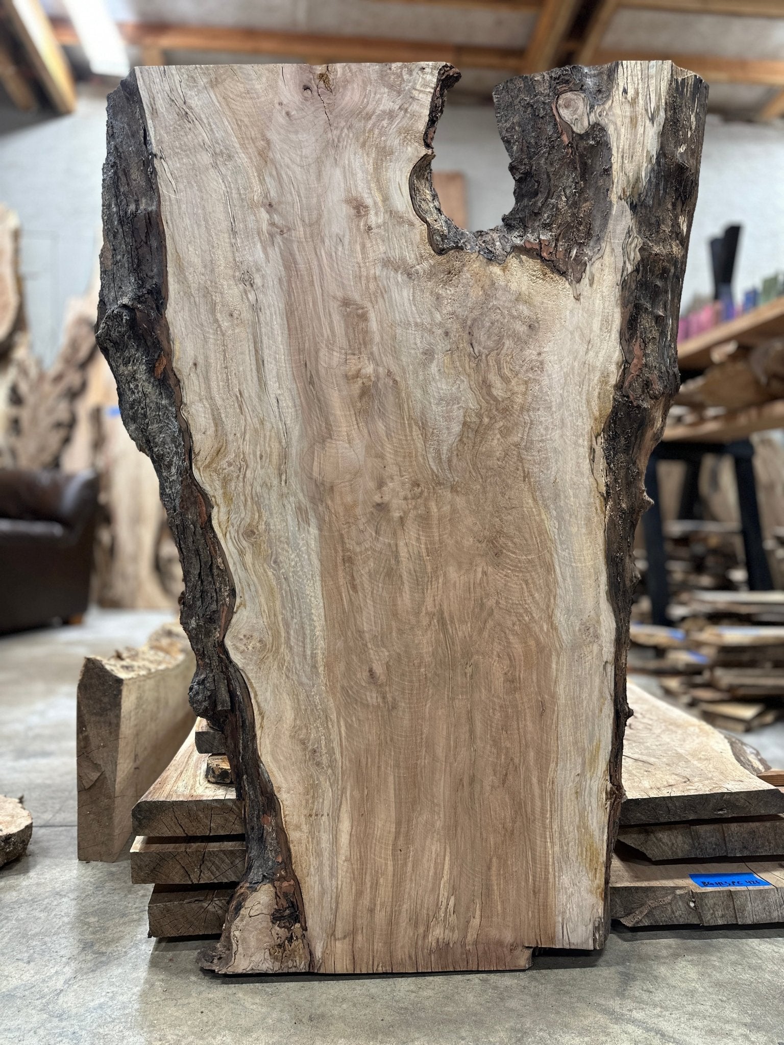 LiveEdge Silver Maple | Silver Maple | Hamilton Lee Supply