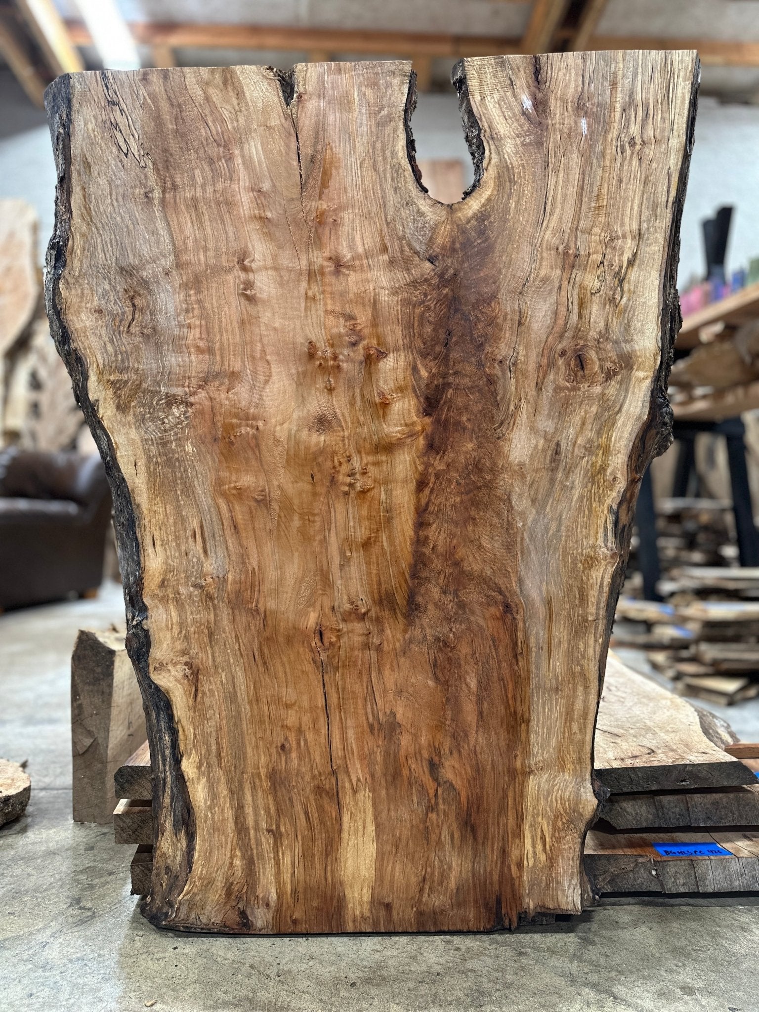 LiveEdge Silver Maple | Silver Maple | Hamilton Lee Supply