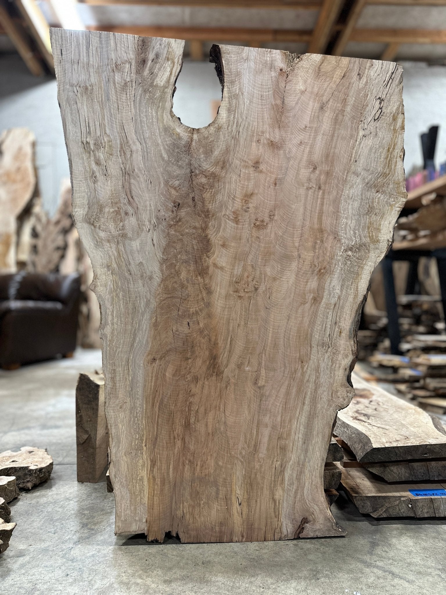 LiveEdge Silver Maple | Silver Maple | Hamilton Lee Supply