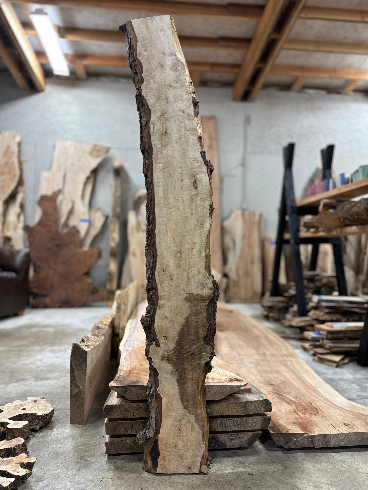 LiveEdge Silver Maple | Silver Maple | Hamilton Lee Supply