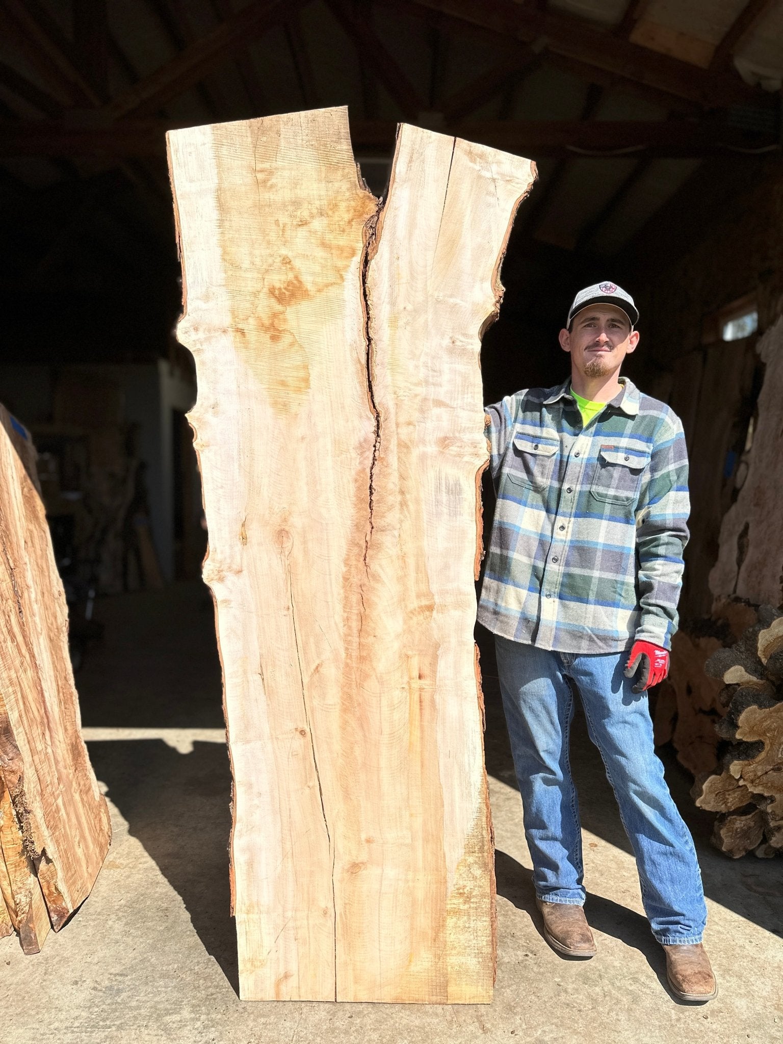 LiveEdge Silver Maple | Silver Maple | Hamilton Lee Supply