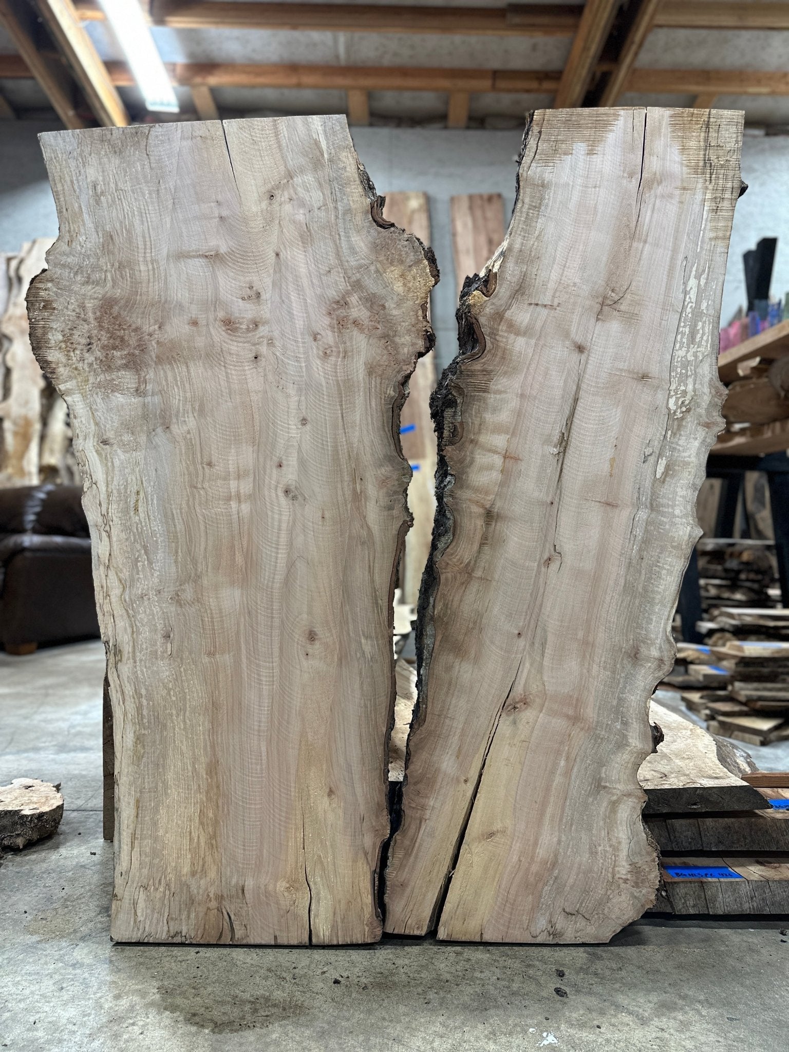 LiveEdge Silver Maple | Silver Maple | Hamilton Lee Supply