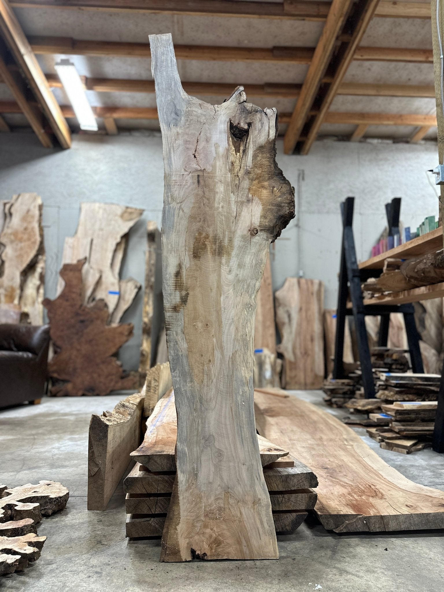 LiveEdge Silver Maple | Silver Maple | Hamilton Lee Supply