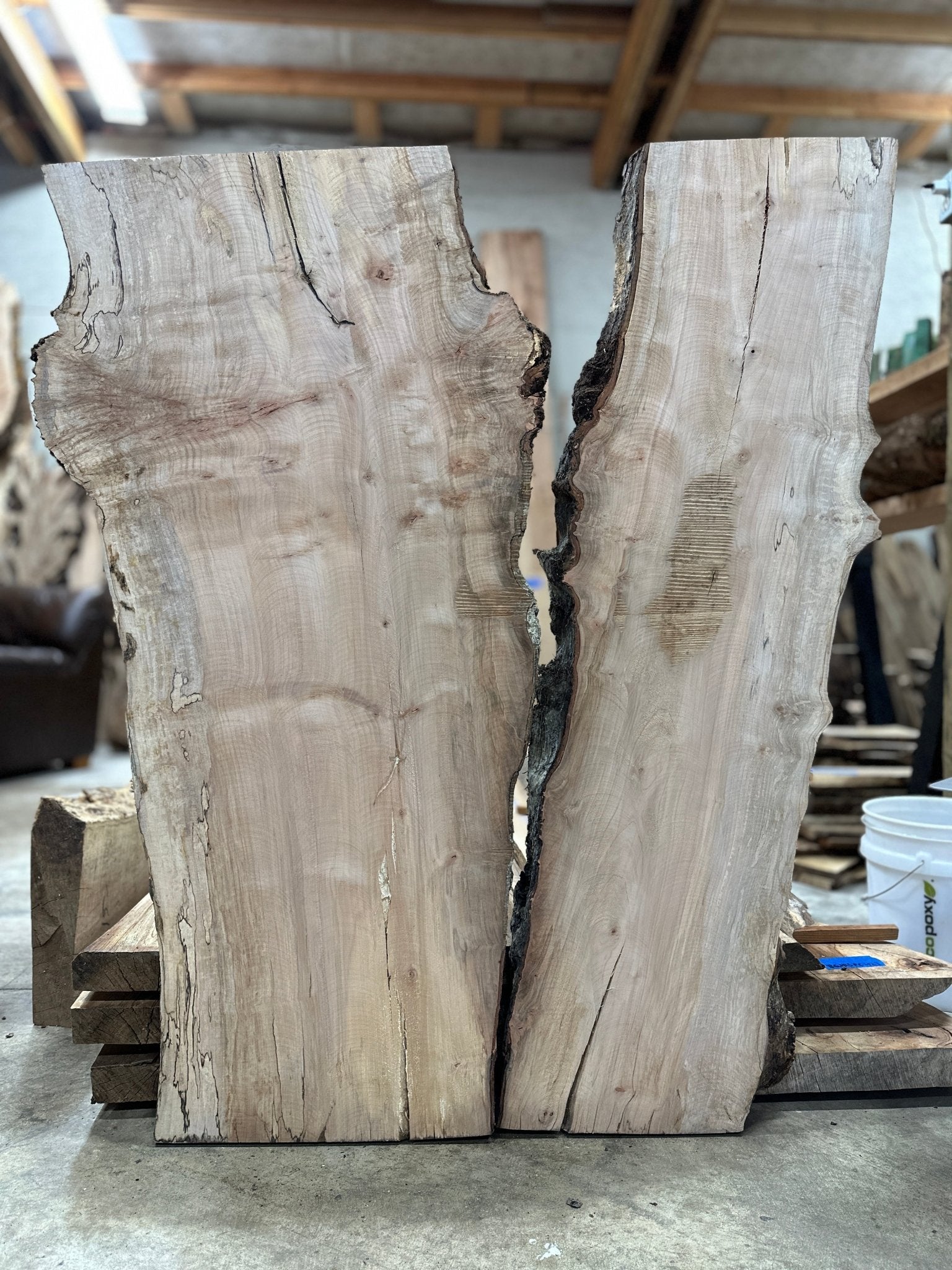 LiveEdge Silver Maple | Silver Maple | Hamilton Lee Supply