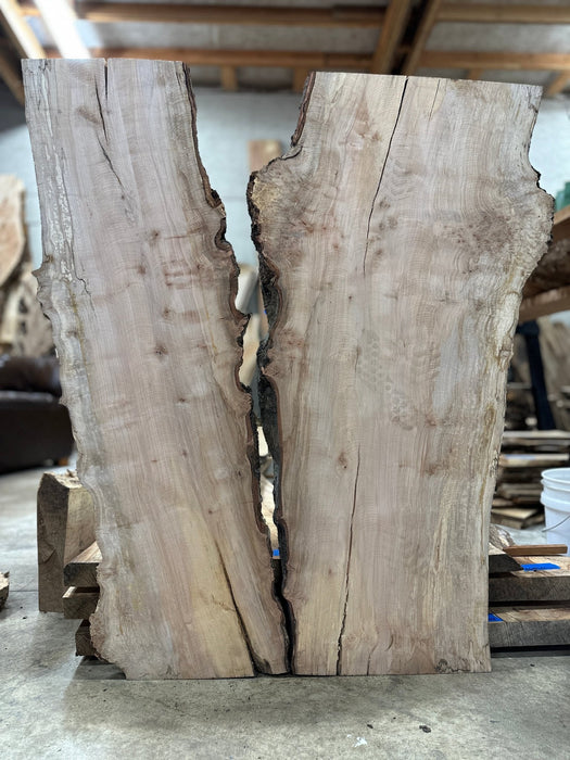 Double Diamond | LiveEdge Silver Maple | Silver Maple | Hamilton Lee Supply