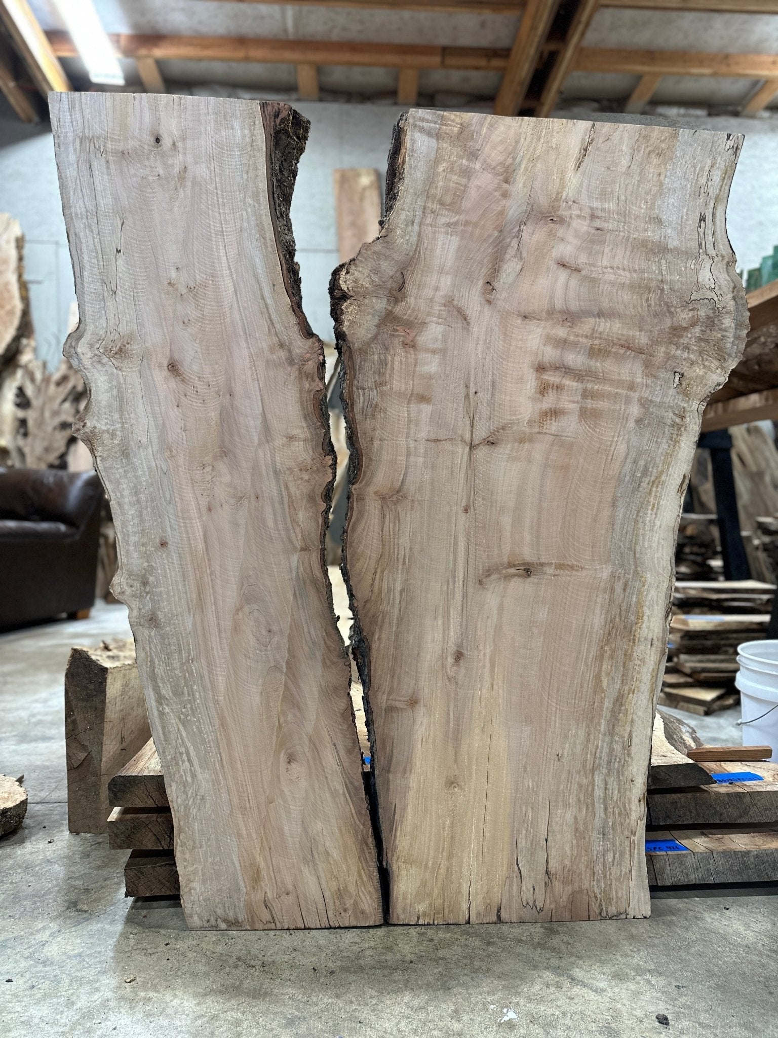 LiveEdge Silver Maple | Silver Maple | Hamilton Lee Supply