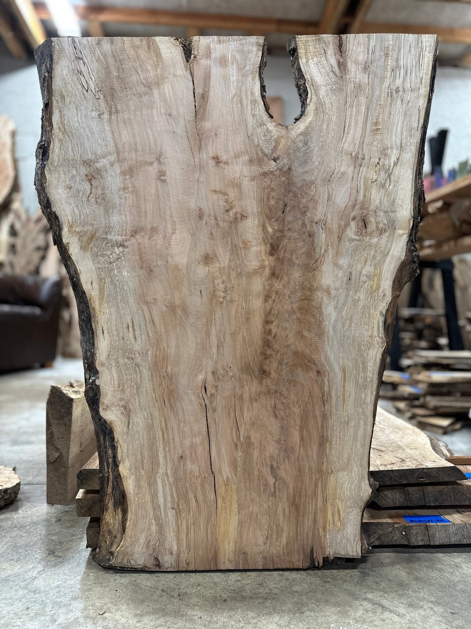 LiveEdge Silver Maple | Silver Maple | Hamilton Lee Supply