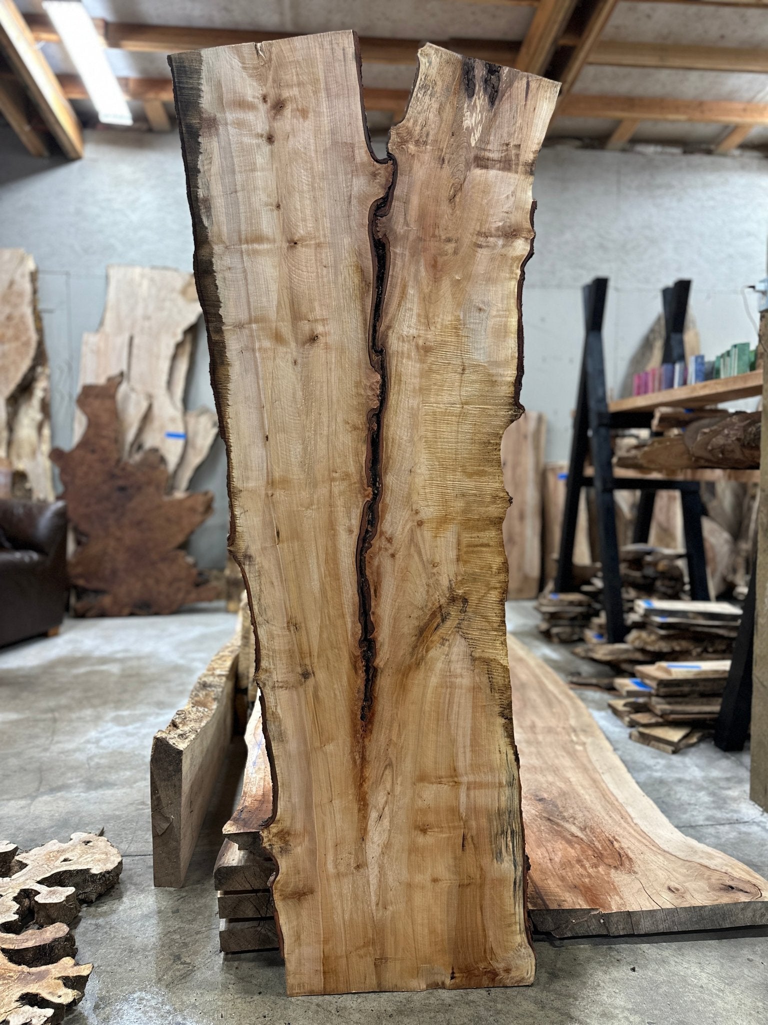 LiveEdge Silver Maple | Silver Maple | Hamilton Lee Supply