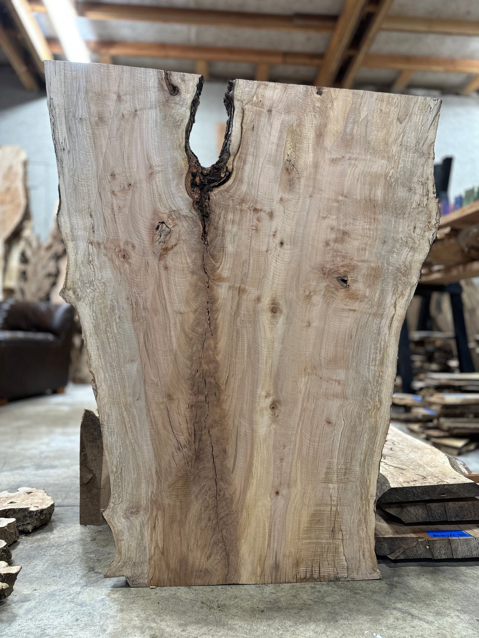 LiveEdge Silver Maple | Silver Maple | Hamilton Lee Supply
