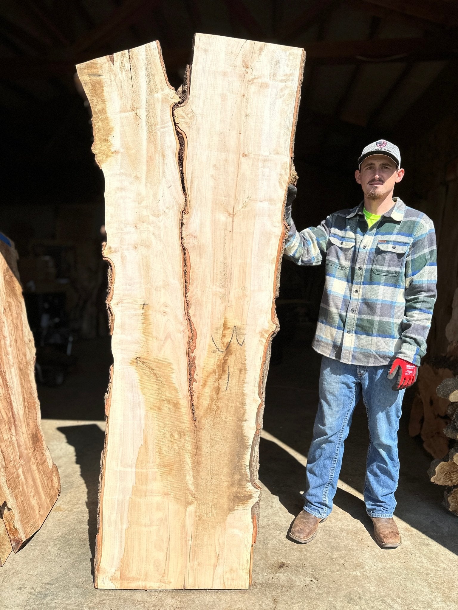 LiveEdge Silver Maple | Silver Maple | Hamilton Lee Supply