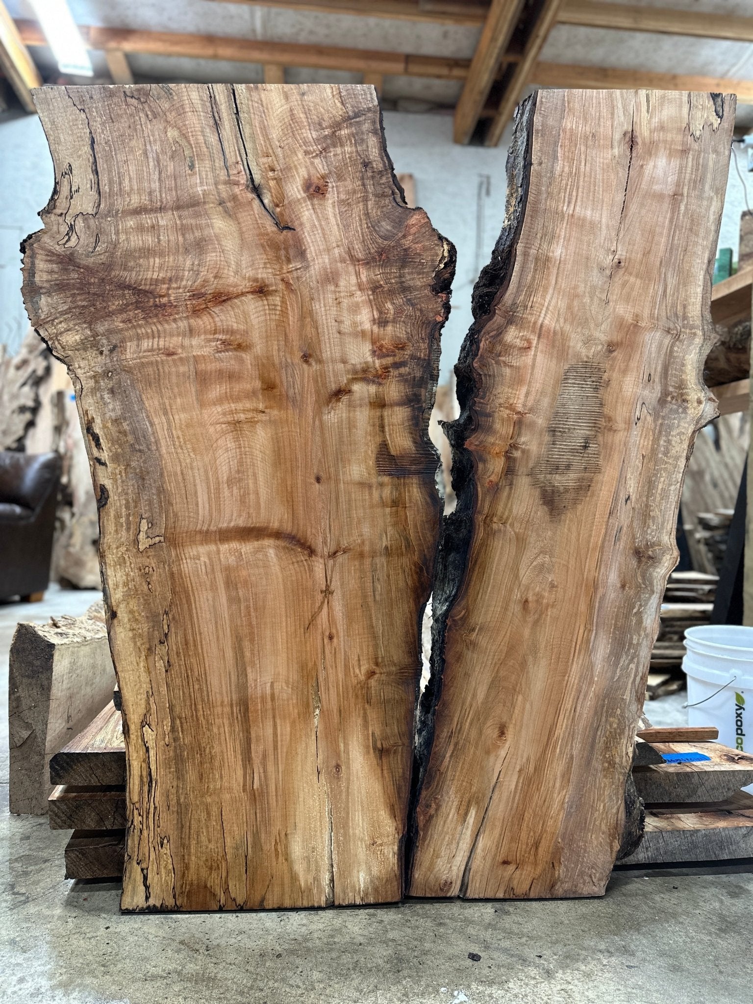 LiveEdge Silver Maple | Silver Maple | Hamilton Lee Supply