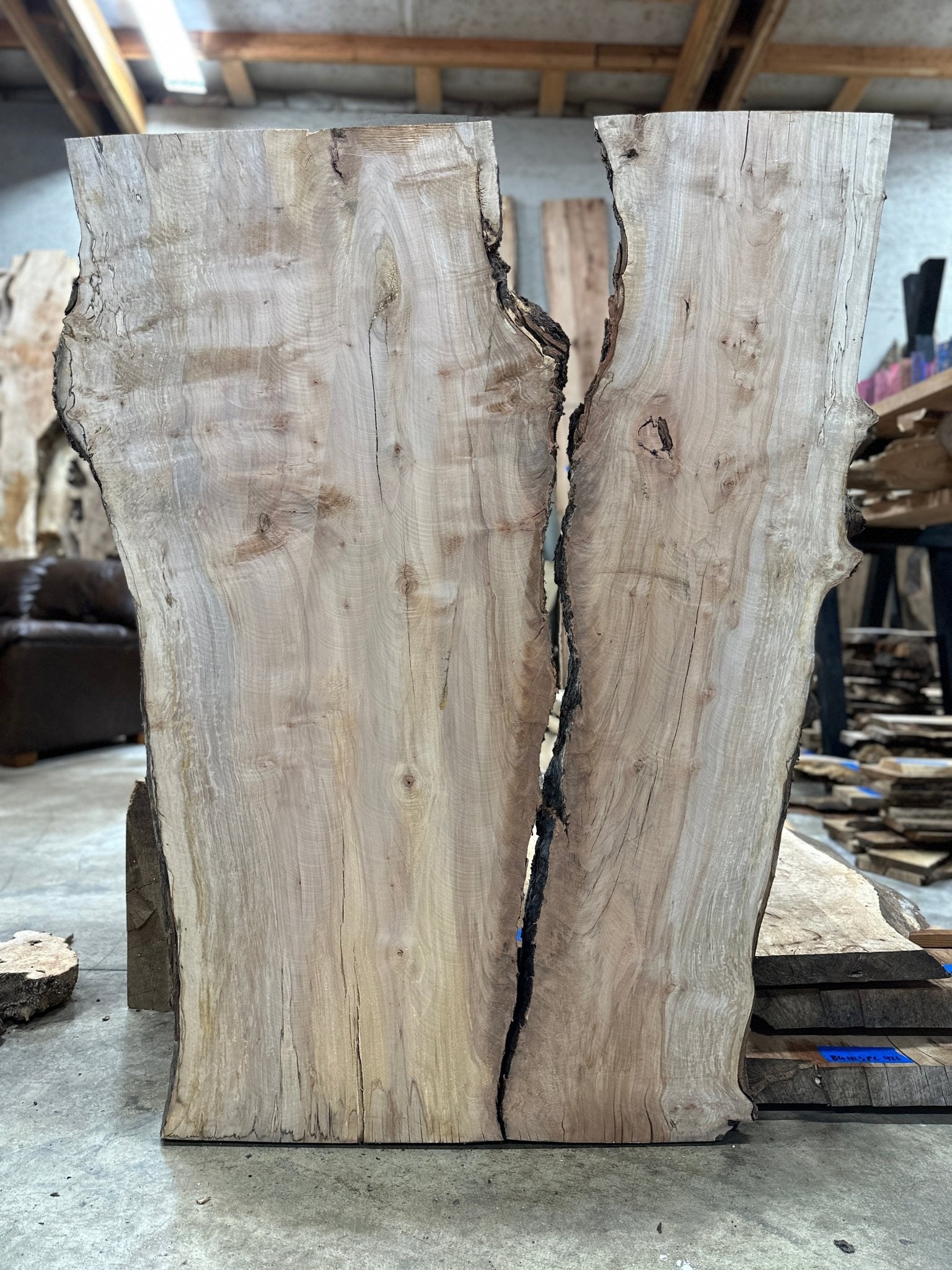 LiveEdge Silver Maple | Silver Maple | Hamilton Lee Supply