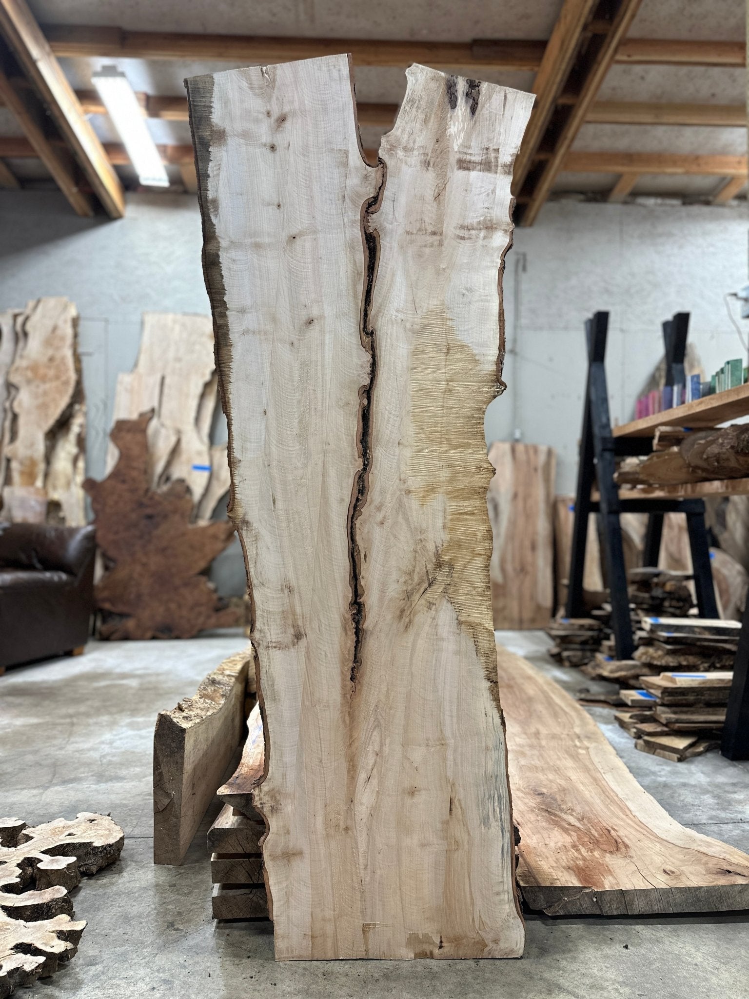 LiveEdge Silver Maple | Silver Maple | Hamilton Lee Supply