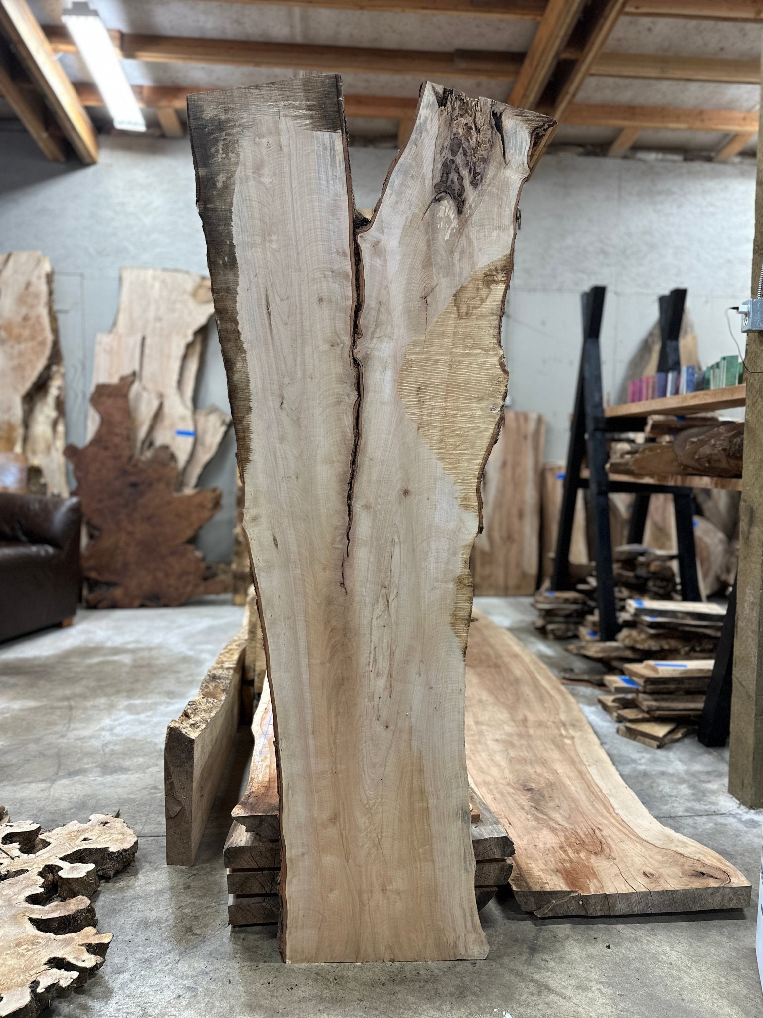LiveEdge Silver Maple | Silver Maple | Hamilton Lee Supply
