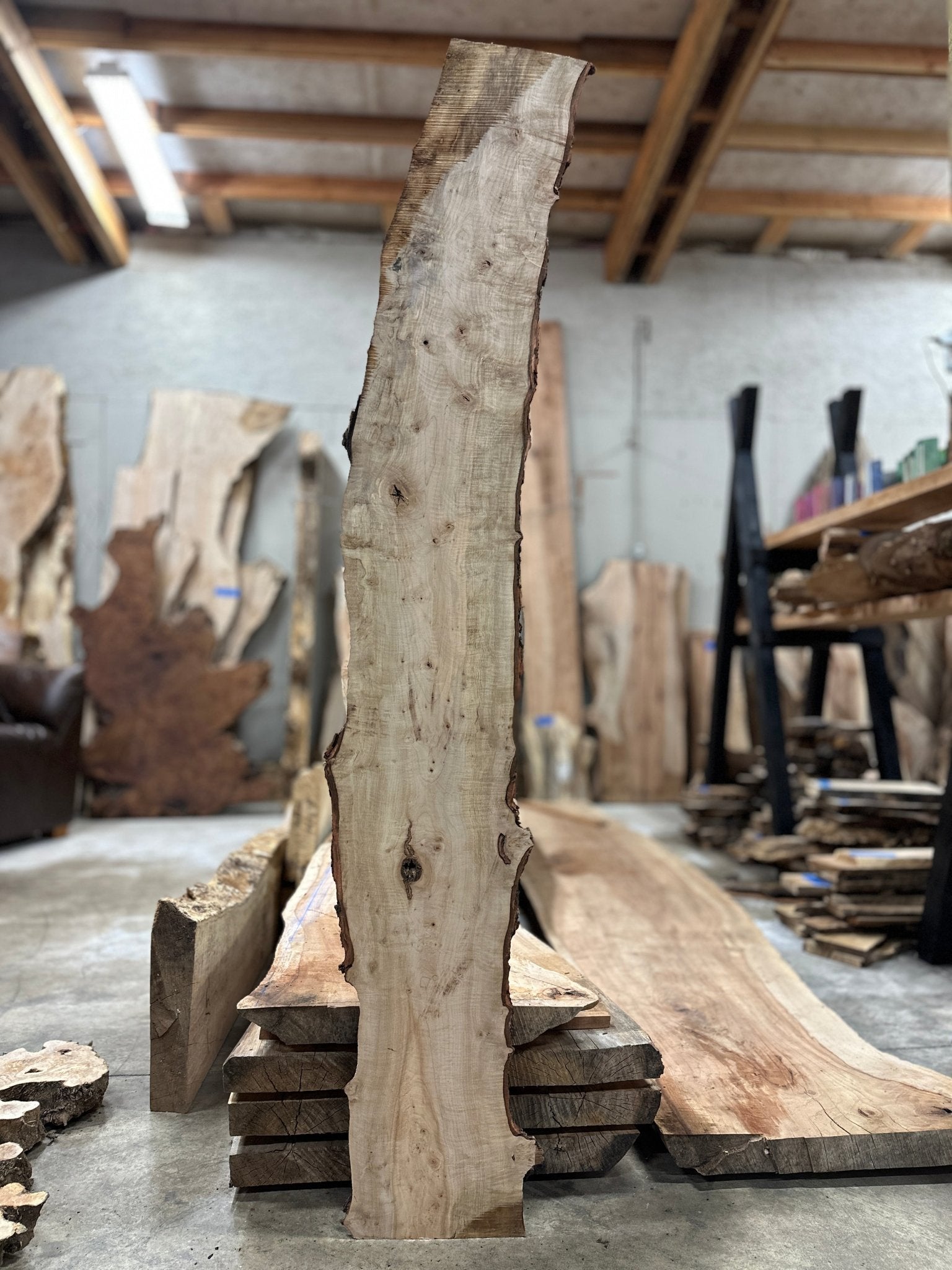 LiveEdge Silver Maple | Silver Maple | Hamilton Lee Supply