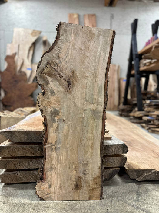 Double Diamond | LiveEdge Silver Maple | Silver Maple | Hamilton Lee Supply