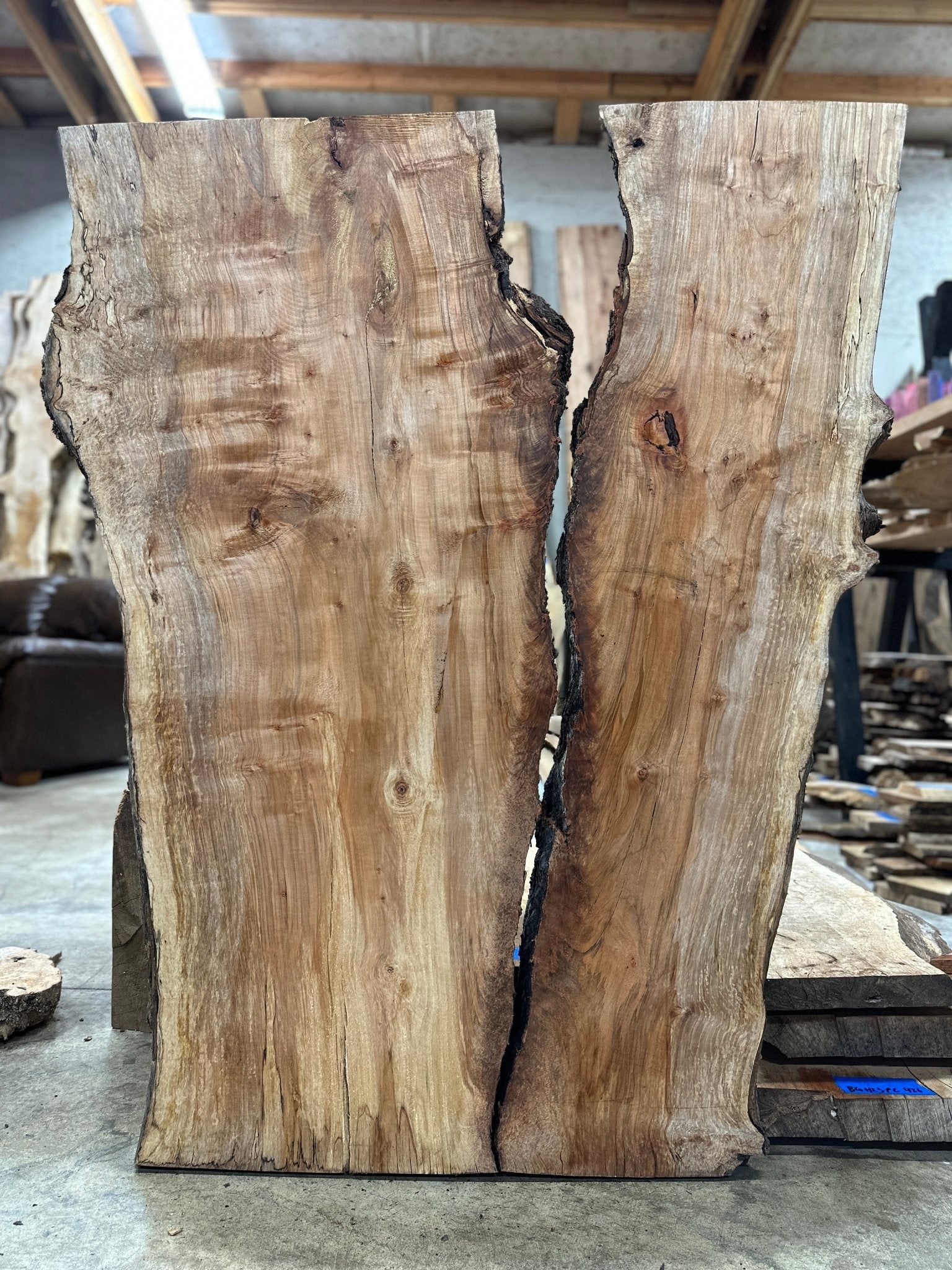 LiveEdge Silver Maple | Silver Maple | Hamilton Lee Supply